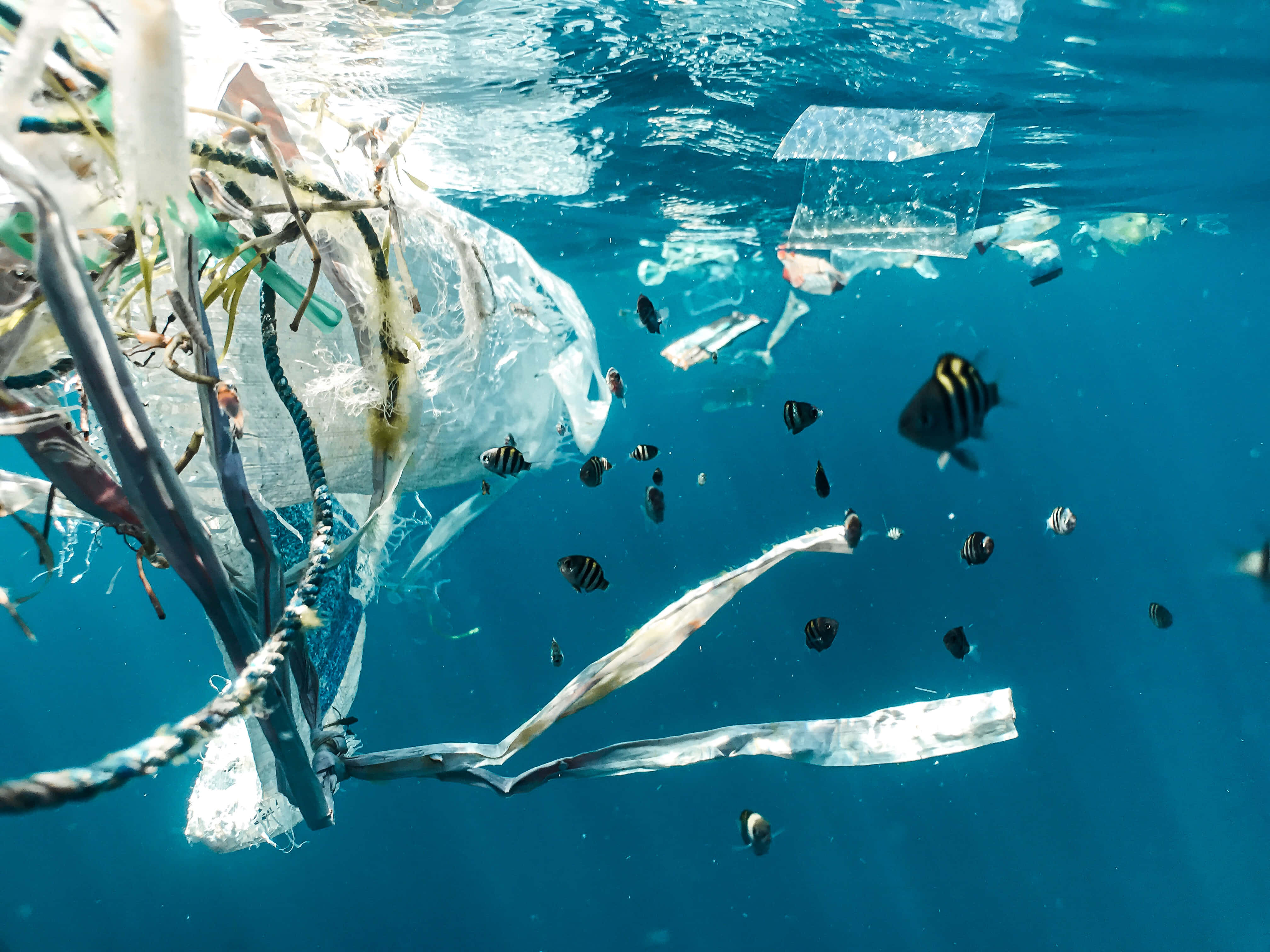 plastic waste, fishing nets, bottles, 4K Desktop Wallpaper