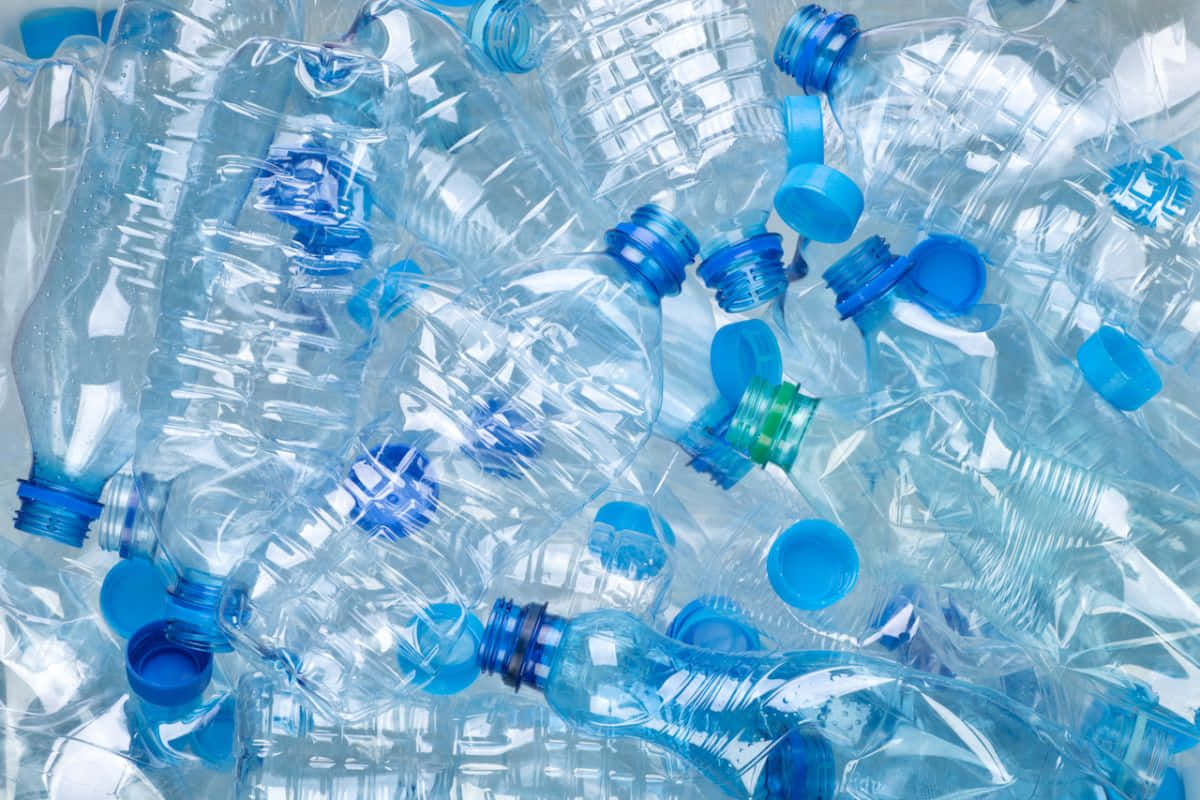clear plastic water bottles, blue caps, bright surface, SD Desktop Wallpaper