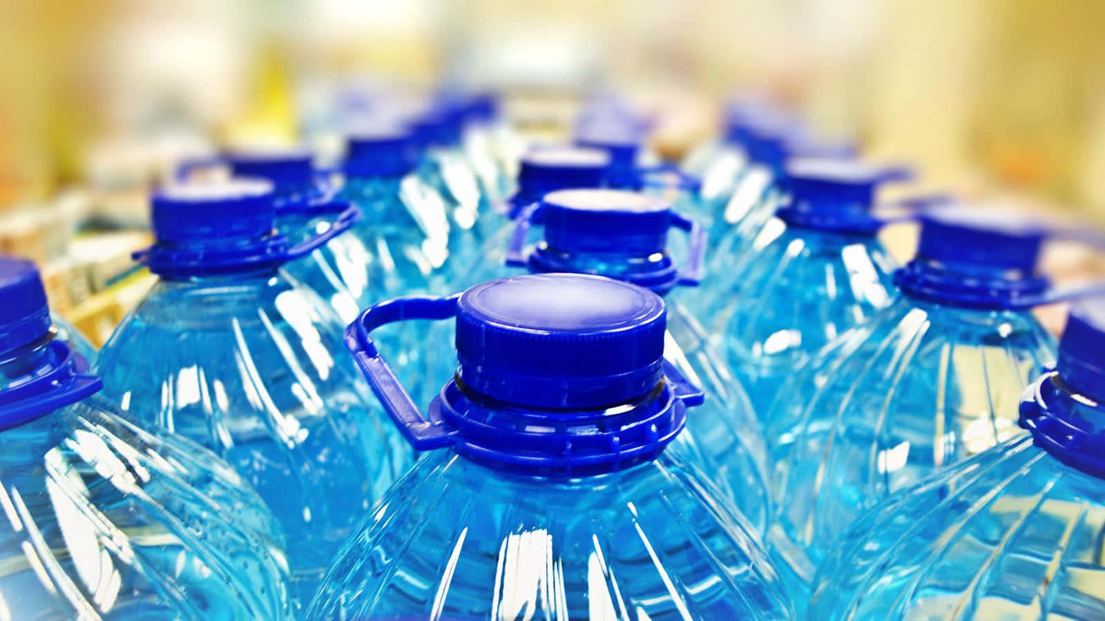 clear plastic water bottles, blue caps, bright light, HD Desktop Wallpaper