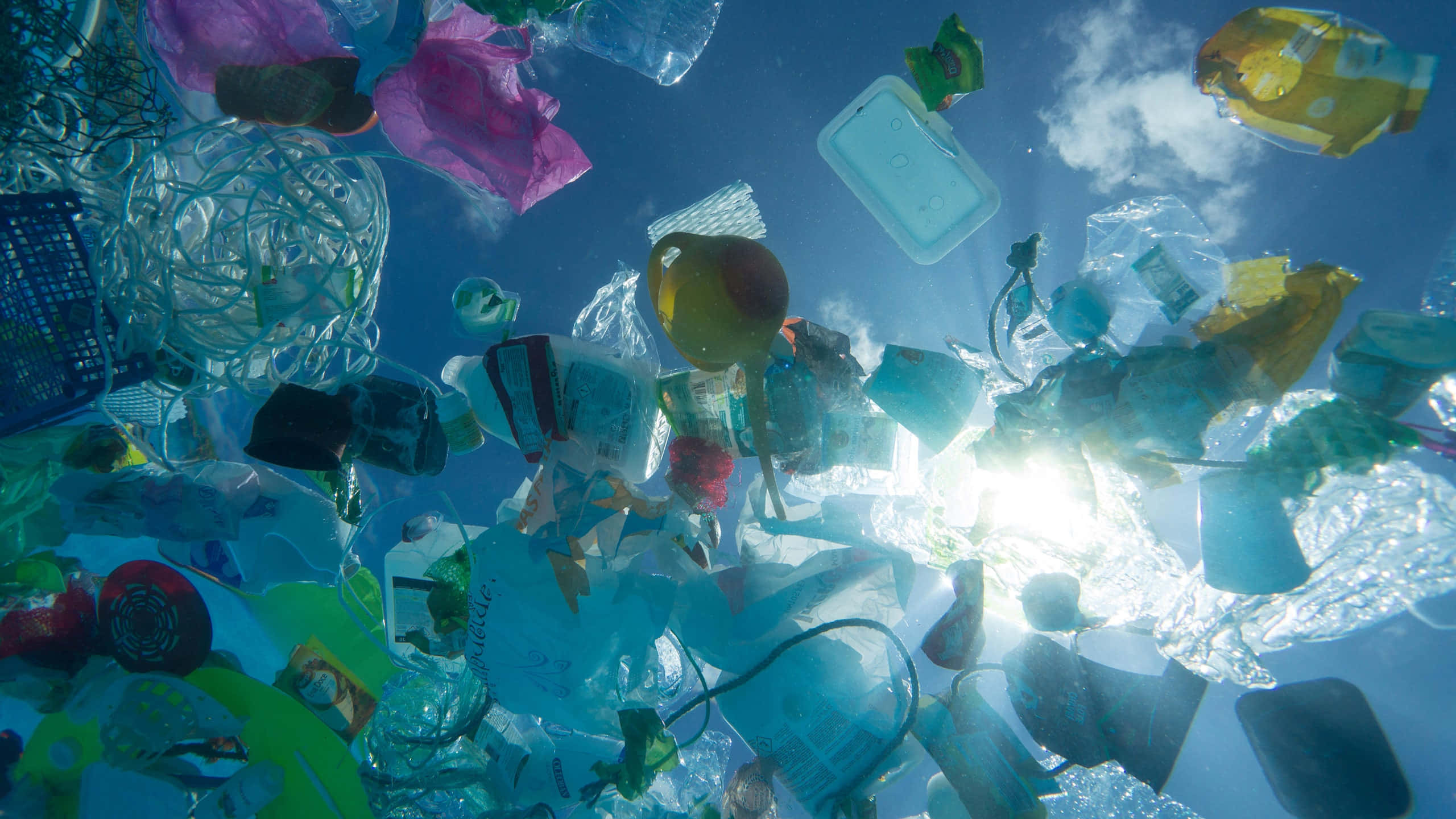 Plastic Wastes In The Ocean, blue water, sunlight, 2K Desktop Wallpaper