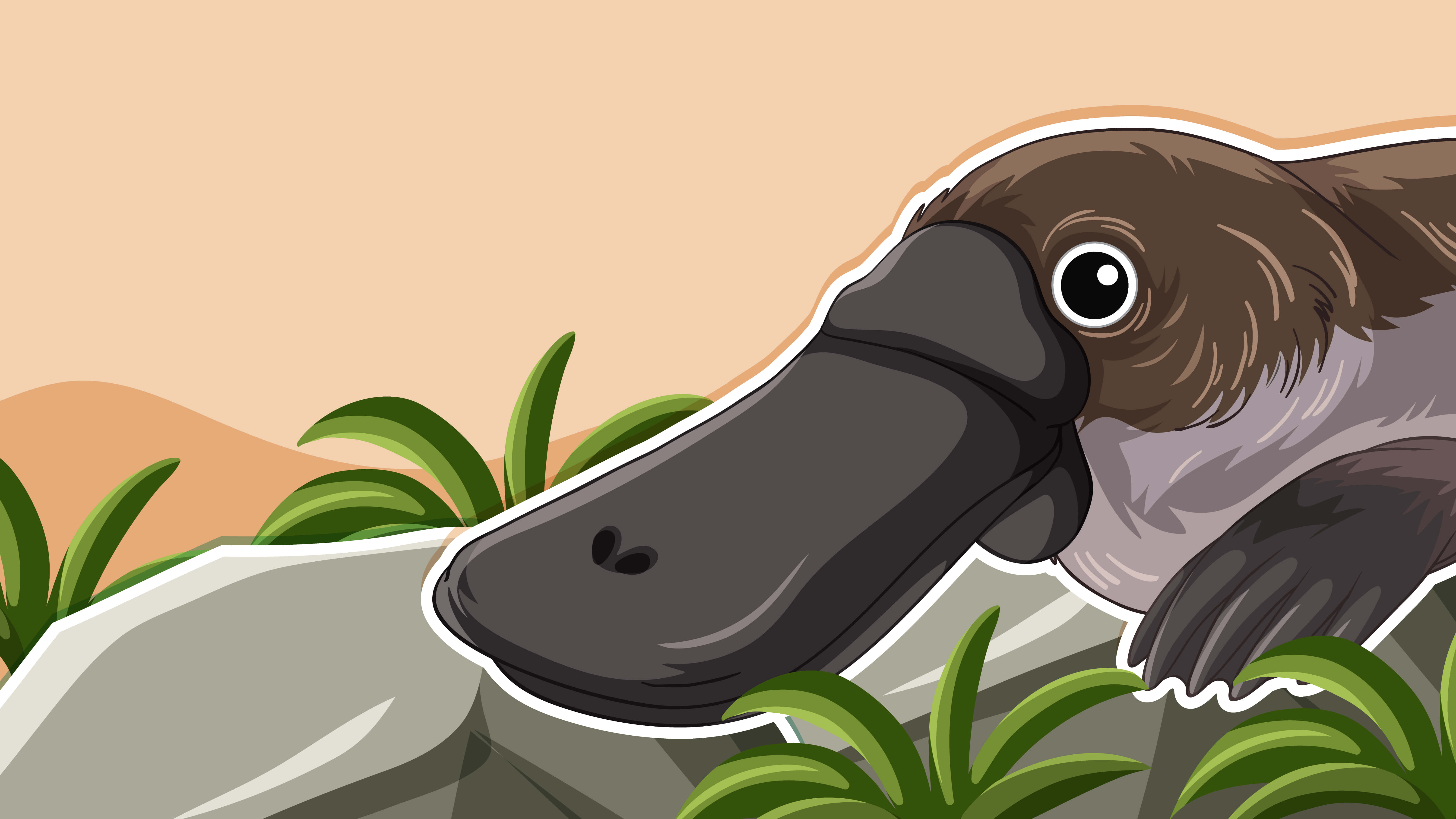 cartoon platypus, rock, green plants, 5K Desktop Wallpaper