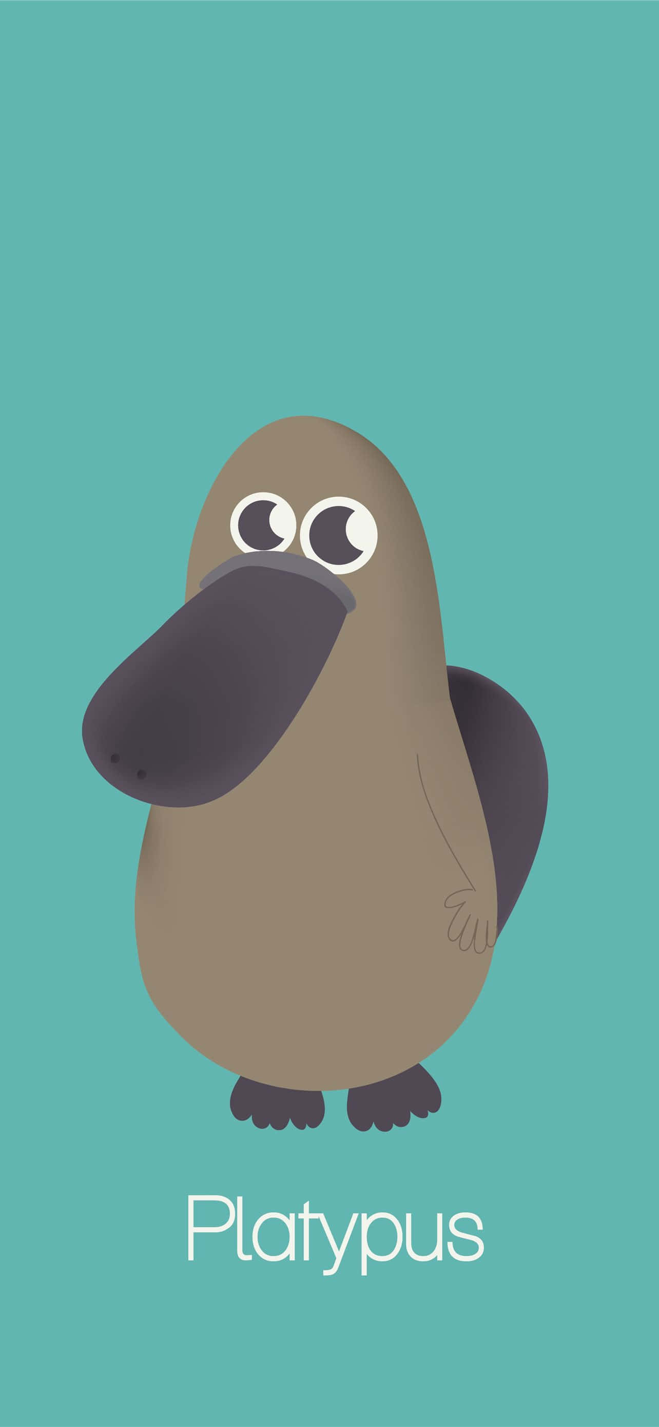 cute cartoon platypus, big eyes, long bill, 2K Phone Wallpaper