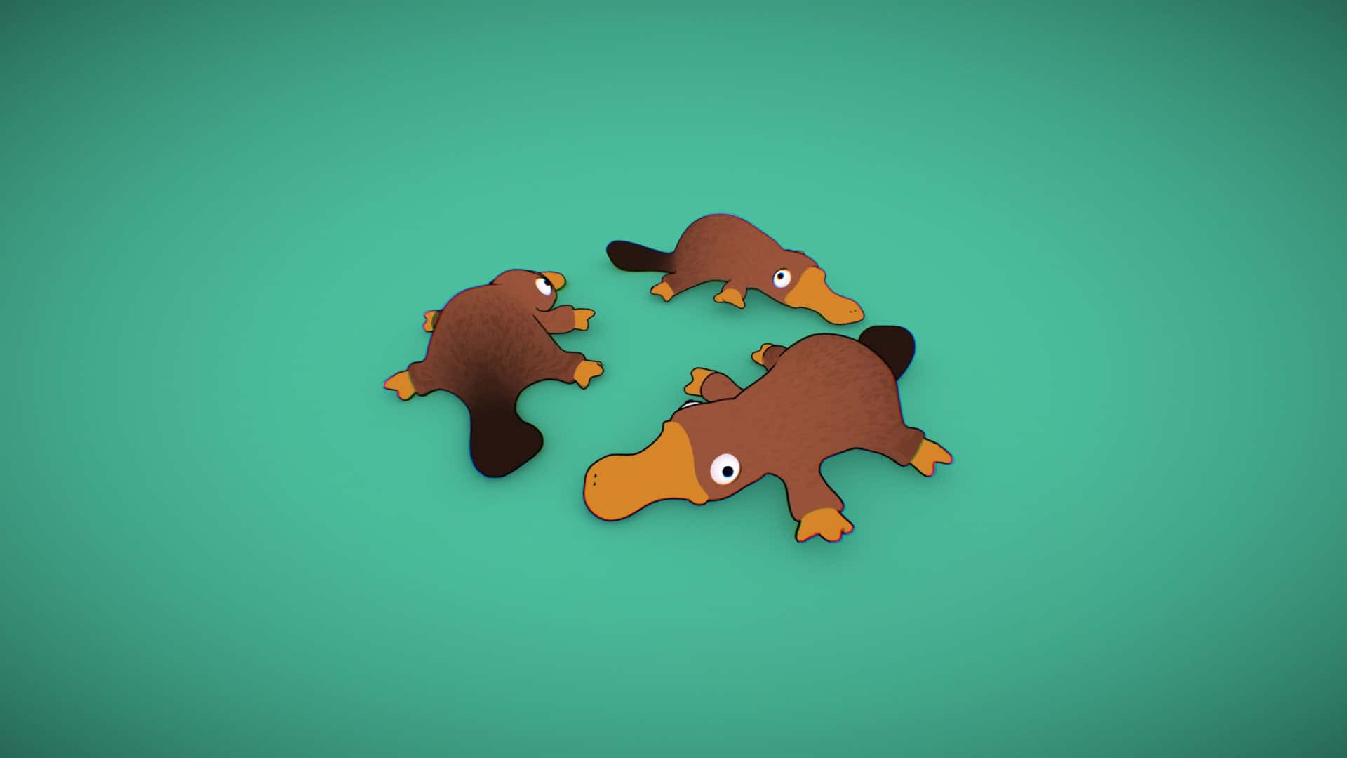 platypus, orange beaks, orange feet, Full HD Desktop Wallpaper
