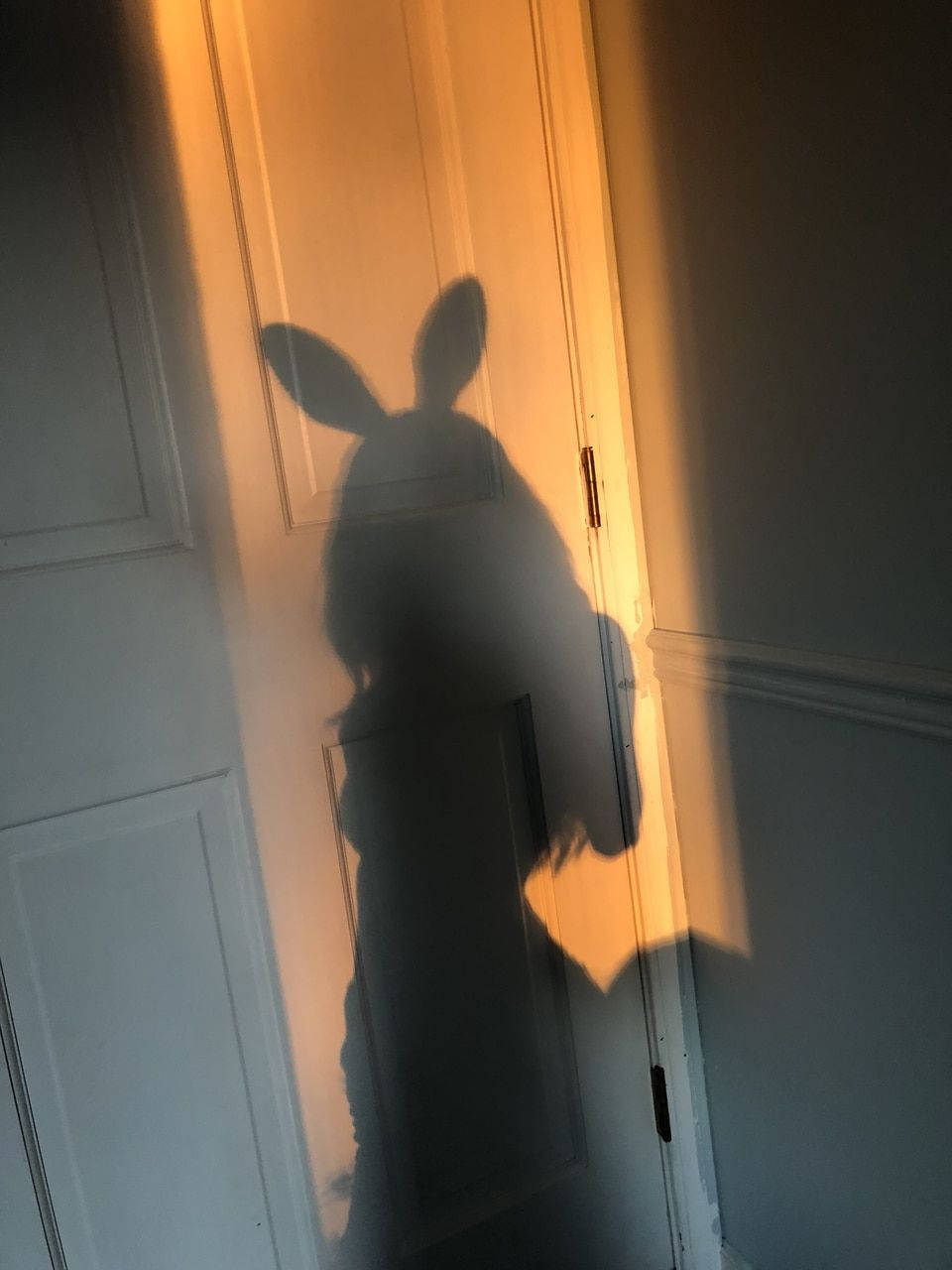 Playboy, bunny ears, soft shadow, HD Phone Wallpaper