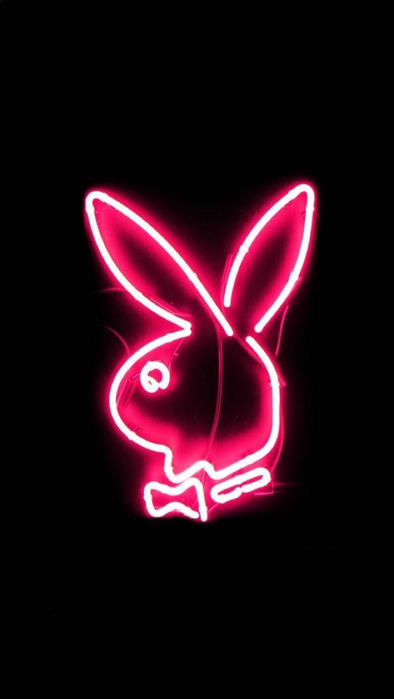 Playboy, neon pink light, rabbit head, SD Phone Wallpaper