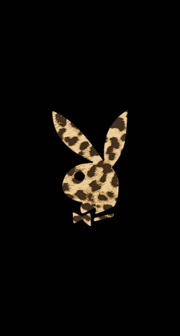 Playboy, leopard logo, leopard-print, HD Phone Wallpaper