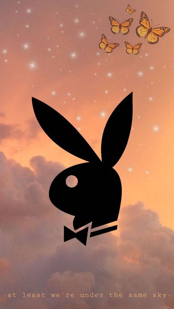 Playboy, bunny, sparkling costume, SD Phone Wallpaper