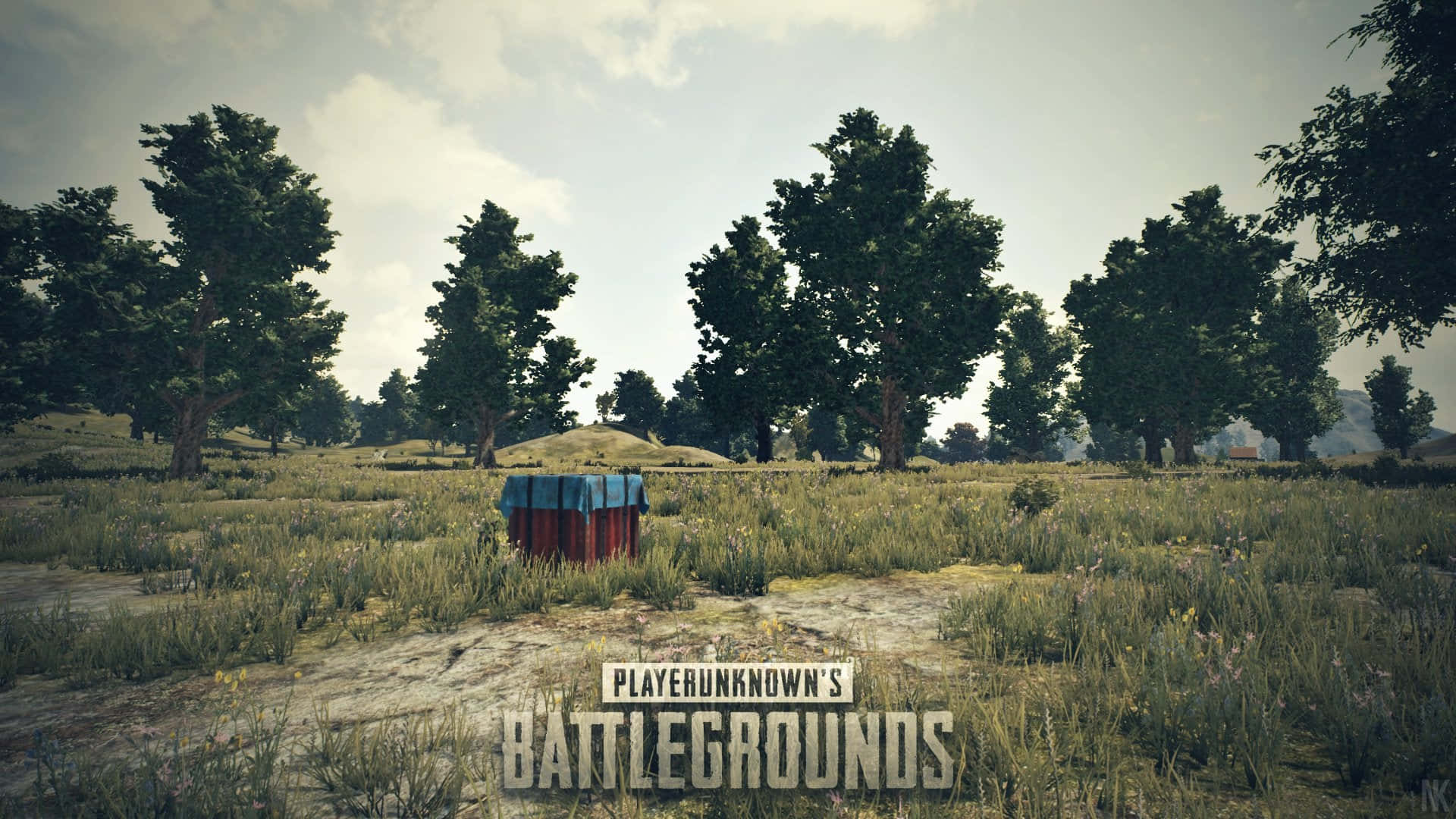 Playerunknowns Battlegrounds Logo, red and blue supply crate, grassy field, Full HD Desktop Wallpaper