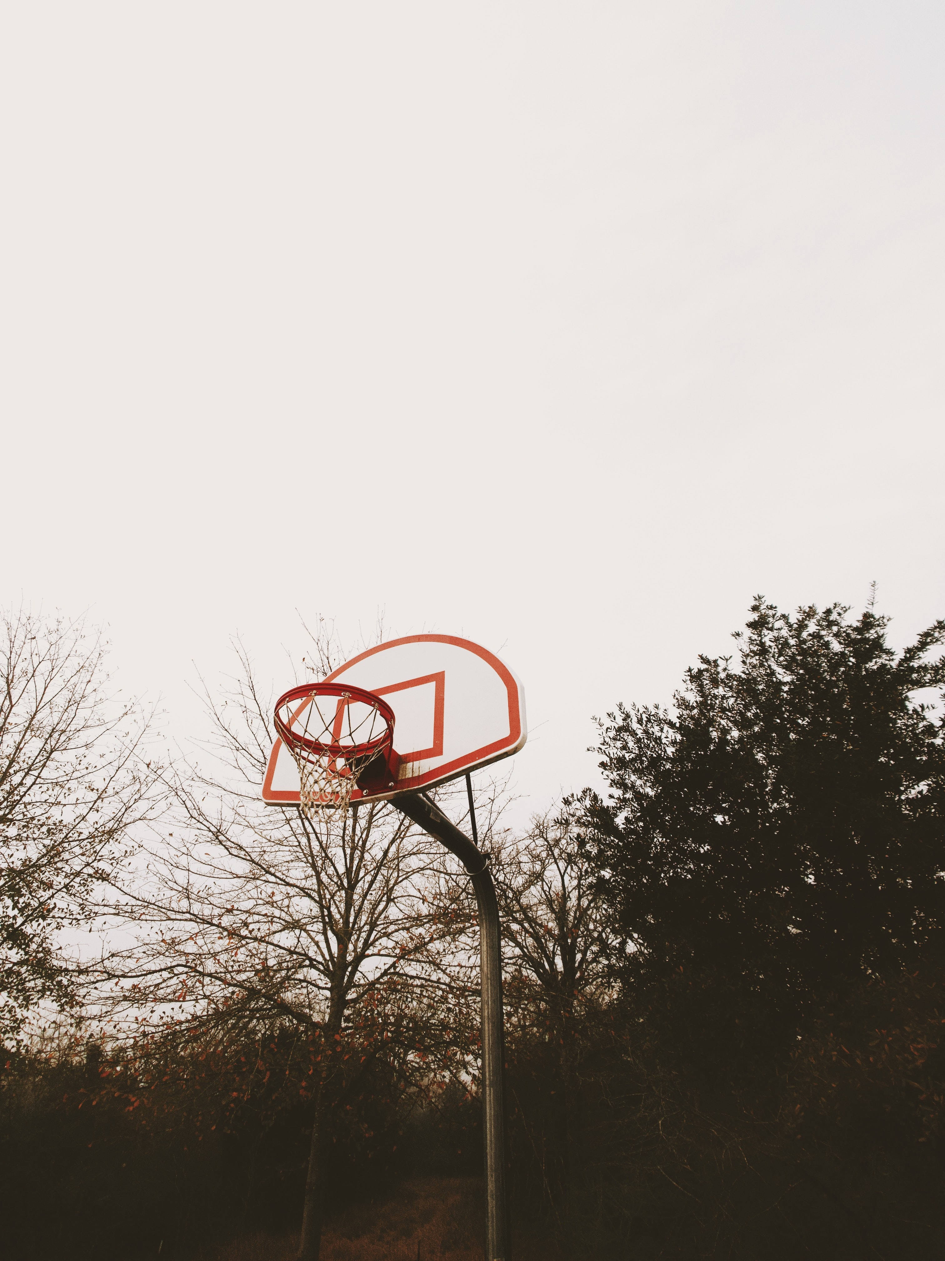 basketball hoop, playground, trees, 4K Phone Wallpaper