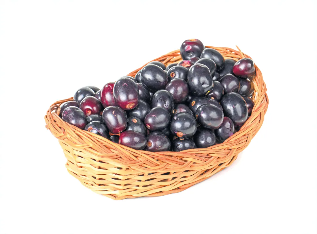 Plum