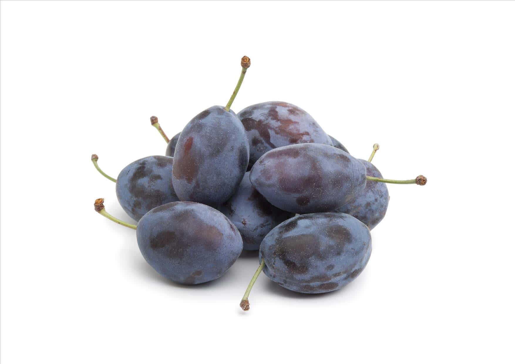 damson plums, dark purple, green stems, HD Desktop Wallpaper