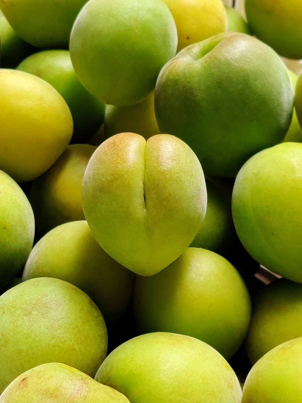 Plum, green, Japanese fruit variety, HD Phone Wallpaper