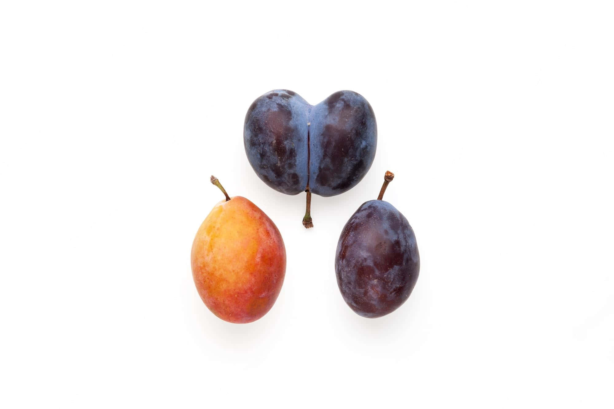 damson plum, orange, juicy interior, Full HD Desktop Wallpaper