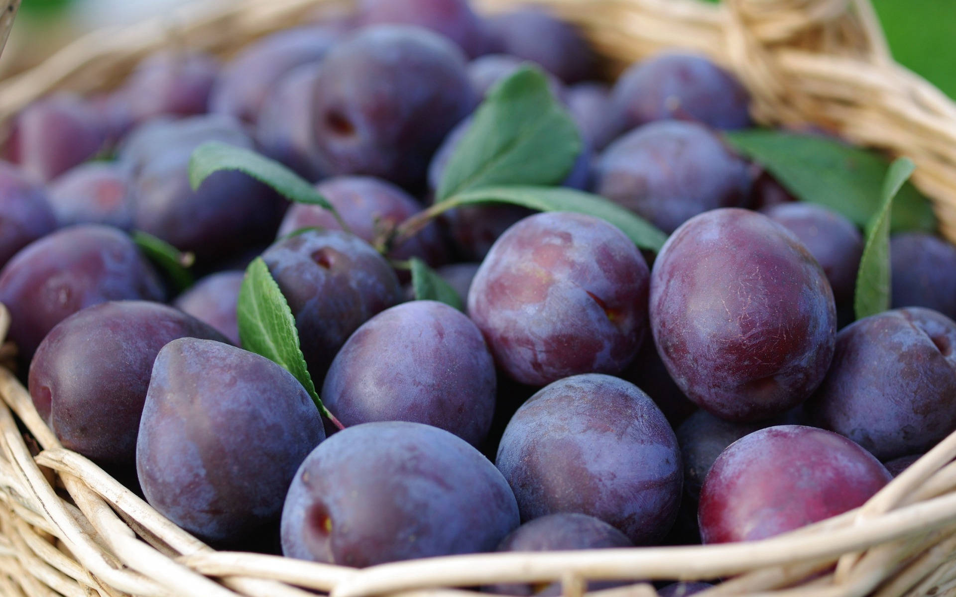 plum, woven basket, purple, Full HD Desktop Wallpaper