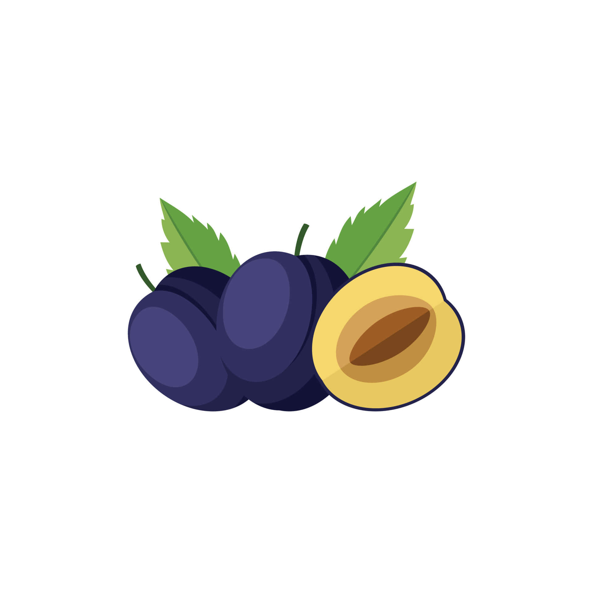 damson plum, sliced, yellow flesh, Full HD Desktop Wallpaper