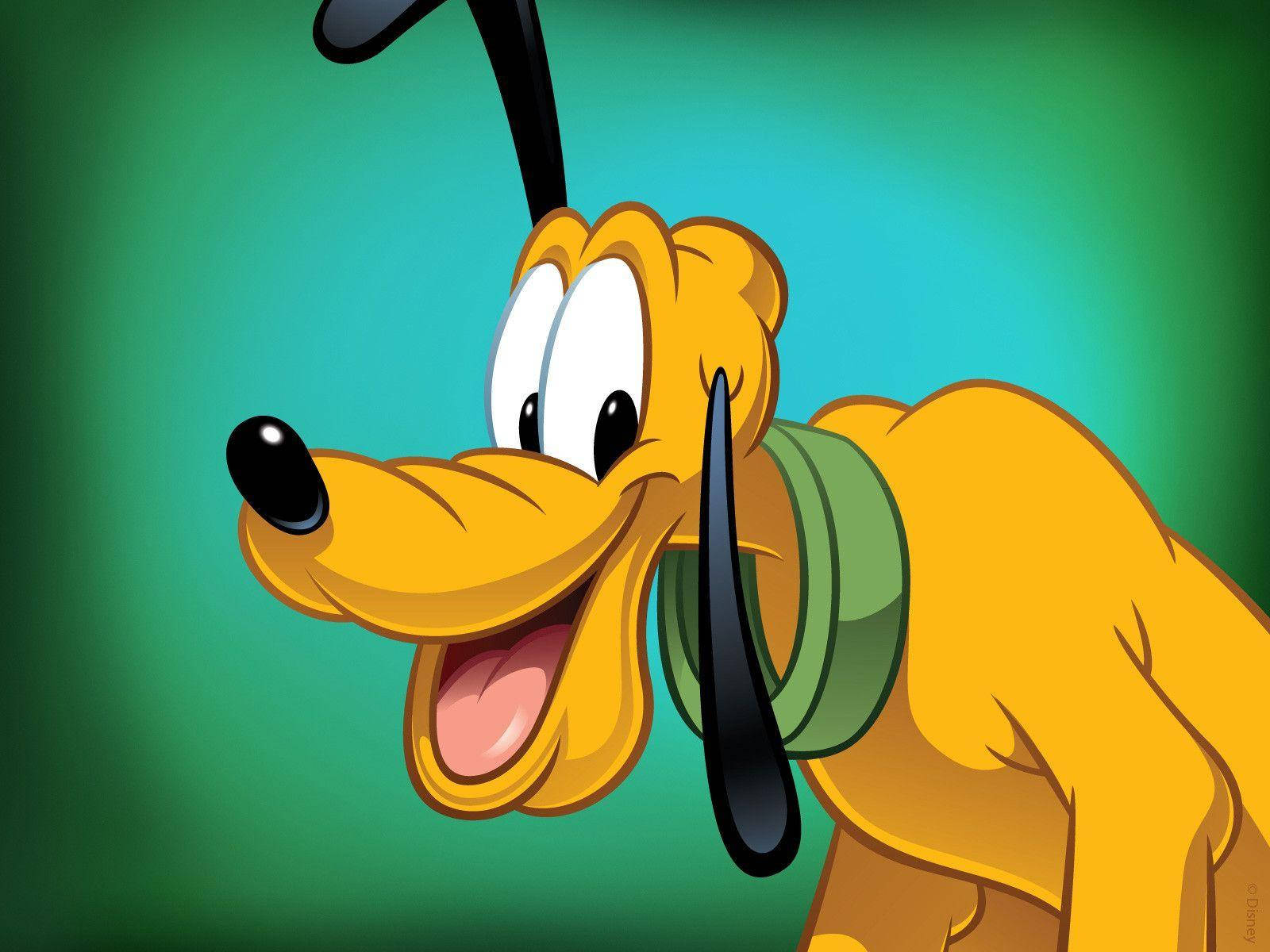 Pluto disney, yellow cartoon dog, floppy ears, HD Desktop Wallpaper