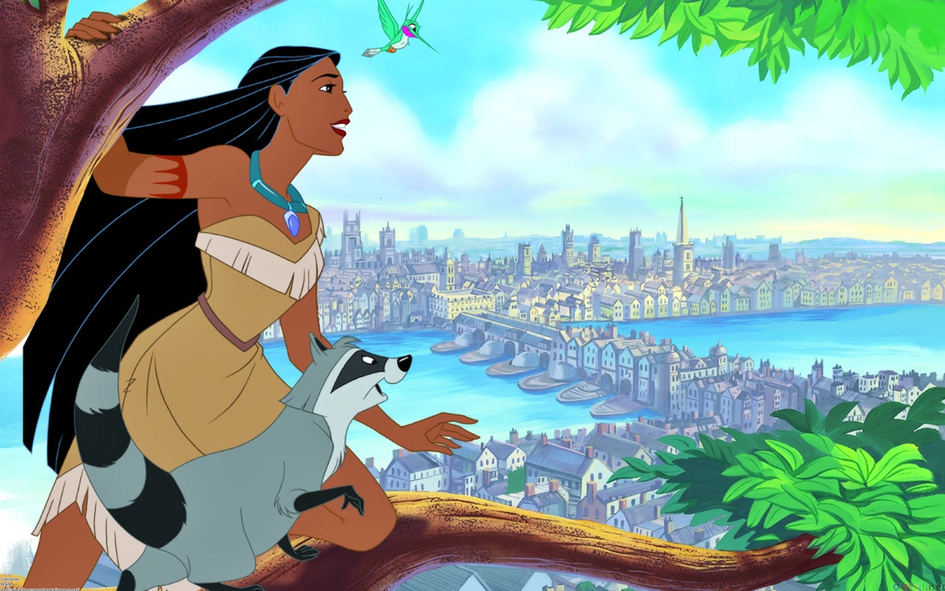 Pocahontas, raccoon, tree branch, Full HD Desktop Wallpaper