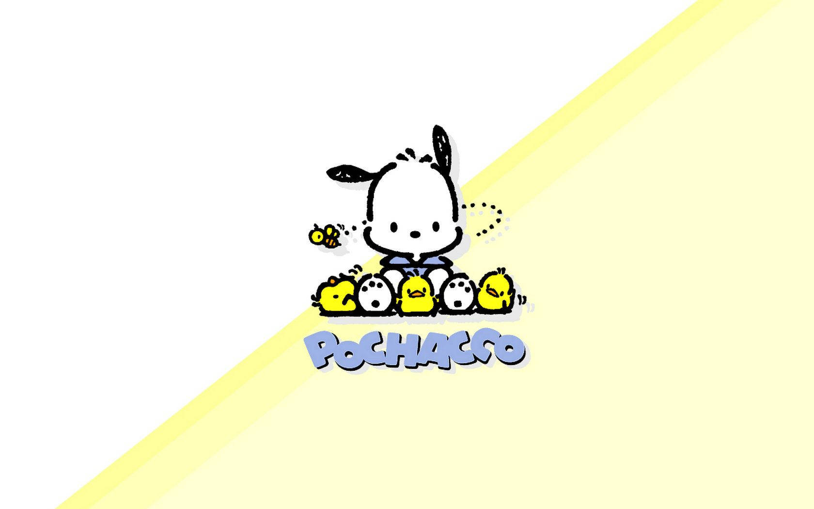 Pochacco, bee, chicks, HD Desktop Wallpaper