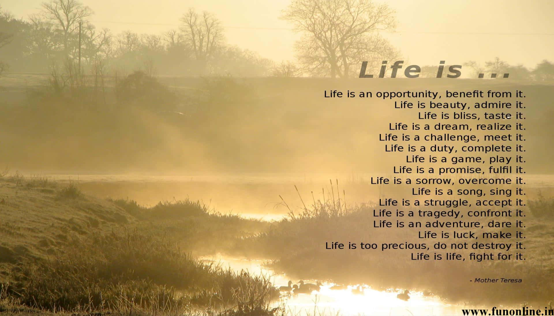 Poem, 1920 x 1094, Golden morning mist, Full HD Desktop Wallpaper