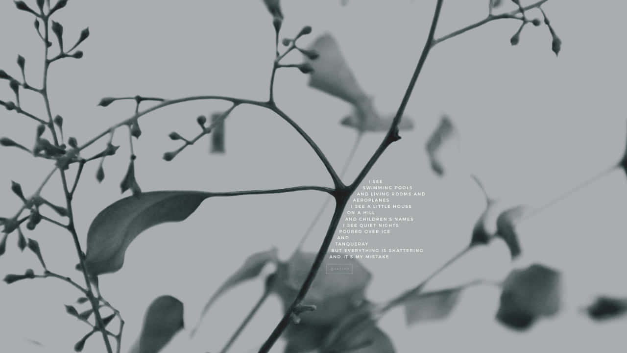 monochrome branches, soft leaves, poetic text overlay, HD Desktop Wallpaper