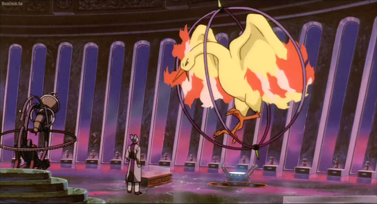 Pokemon 2000, fiery bird Pokémon, glowing sphere, SD Desktop Wallpaper