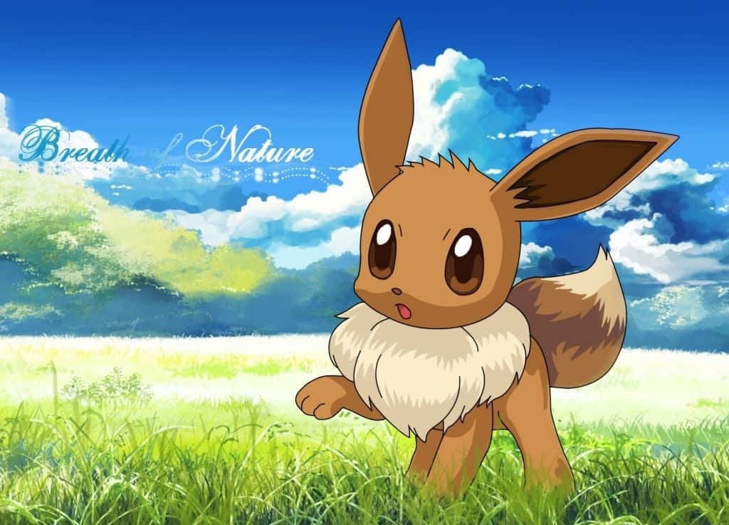 Pokemon Eevee, brown, vibrant green grass, SD Desktop Wallpaper