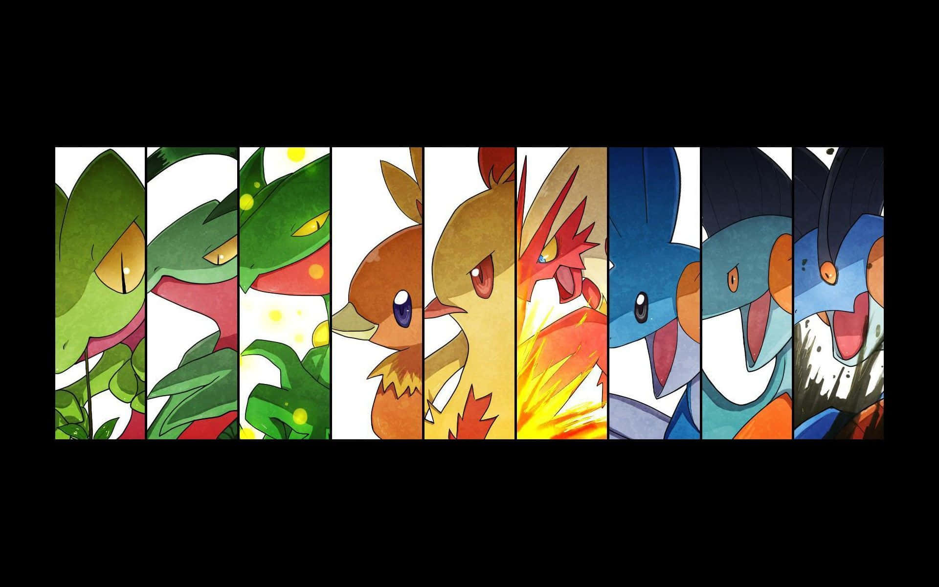Pokemon Evolution, anime-style, eight Pokémon, Full HD Desktop Wallpaper