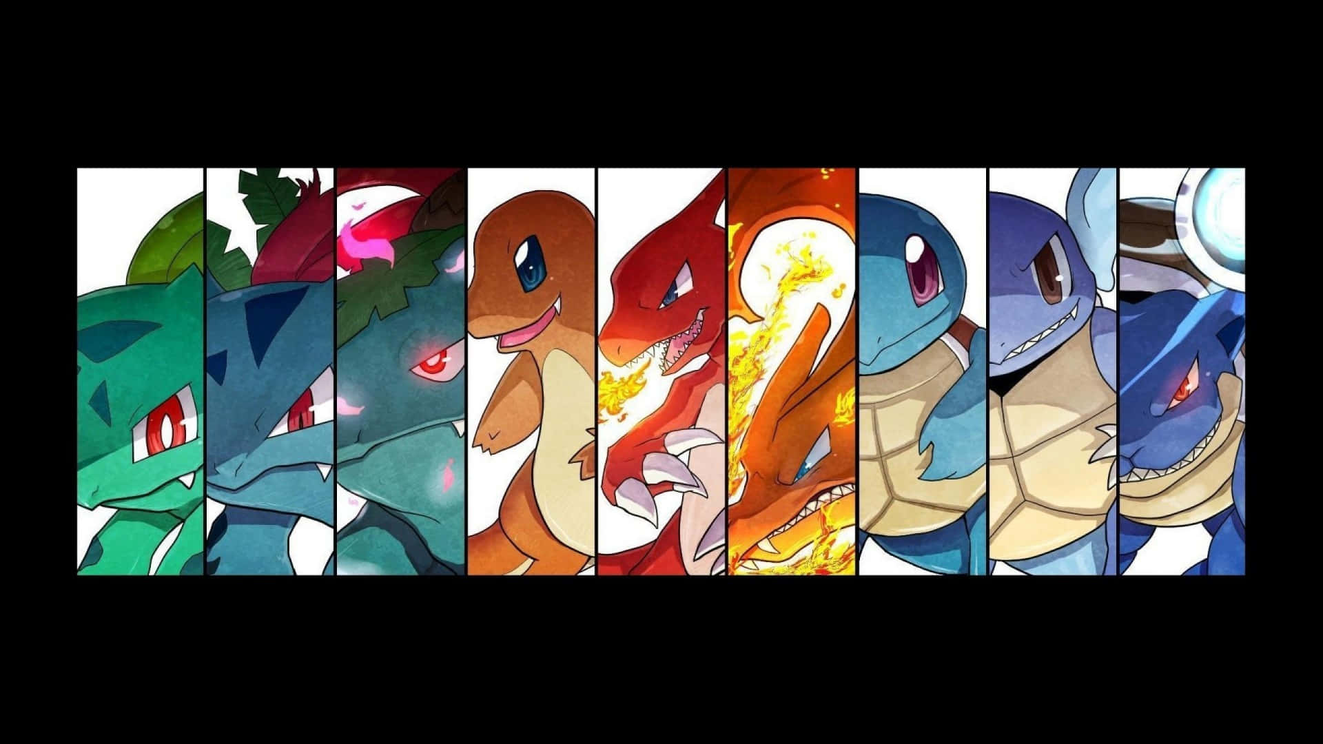 Pokemon Evolution, anime style, seven Pokémon characters, Full HD Desktop Wallpaper