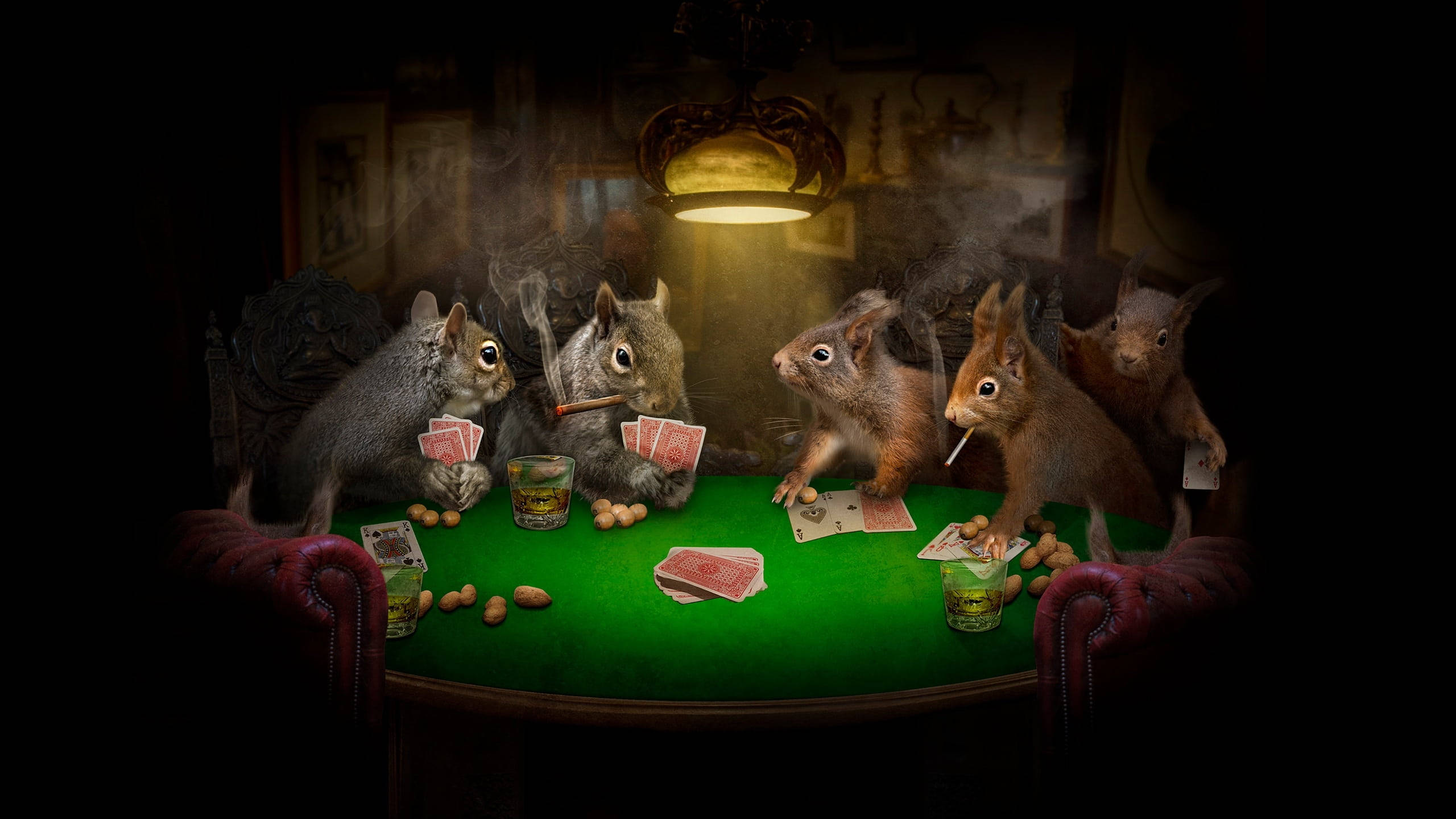 squirrels, poker, cigars, 2K Desktop Wallpaper