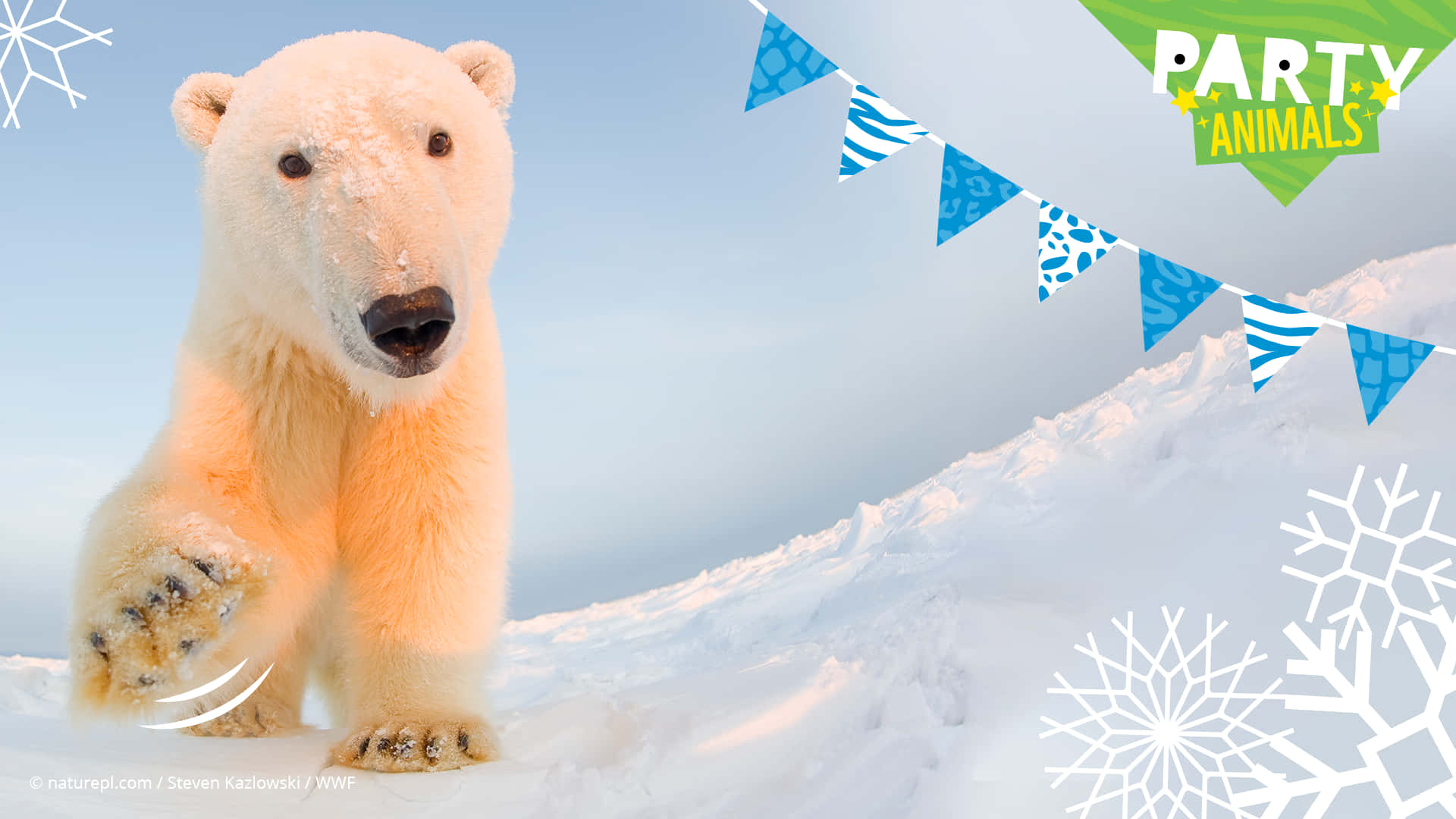 Polar Bear, festive blue banners, snowflake graphics, Full HD Desktop Wallpaper