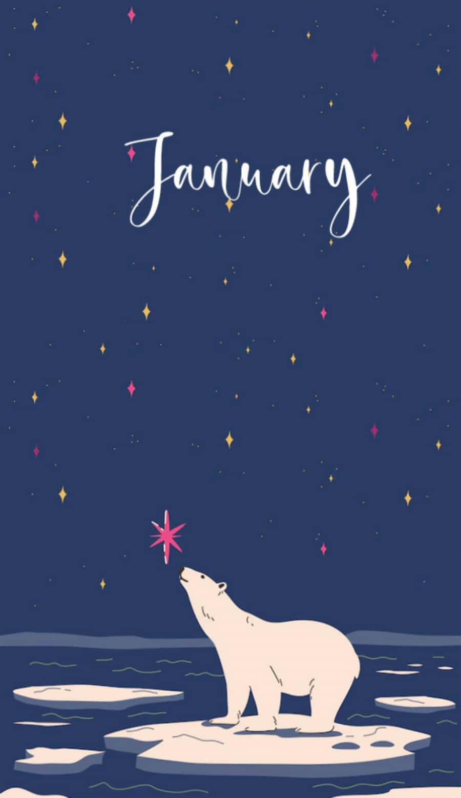 January, white polar bear, ice floes, HD Phone Wallpaper