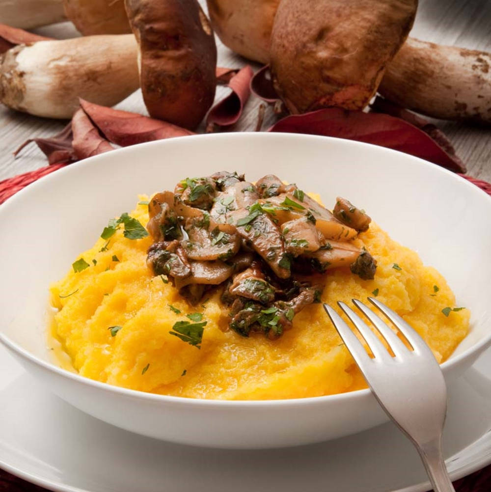 Polenta, spezzatino di musso, creamy yellow polenta, SD Phone Wallpaper