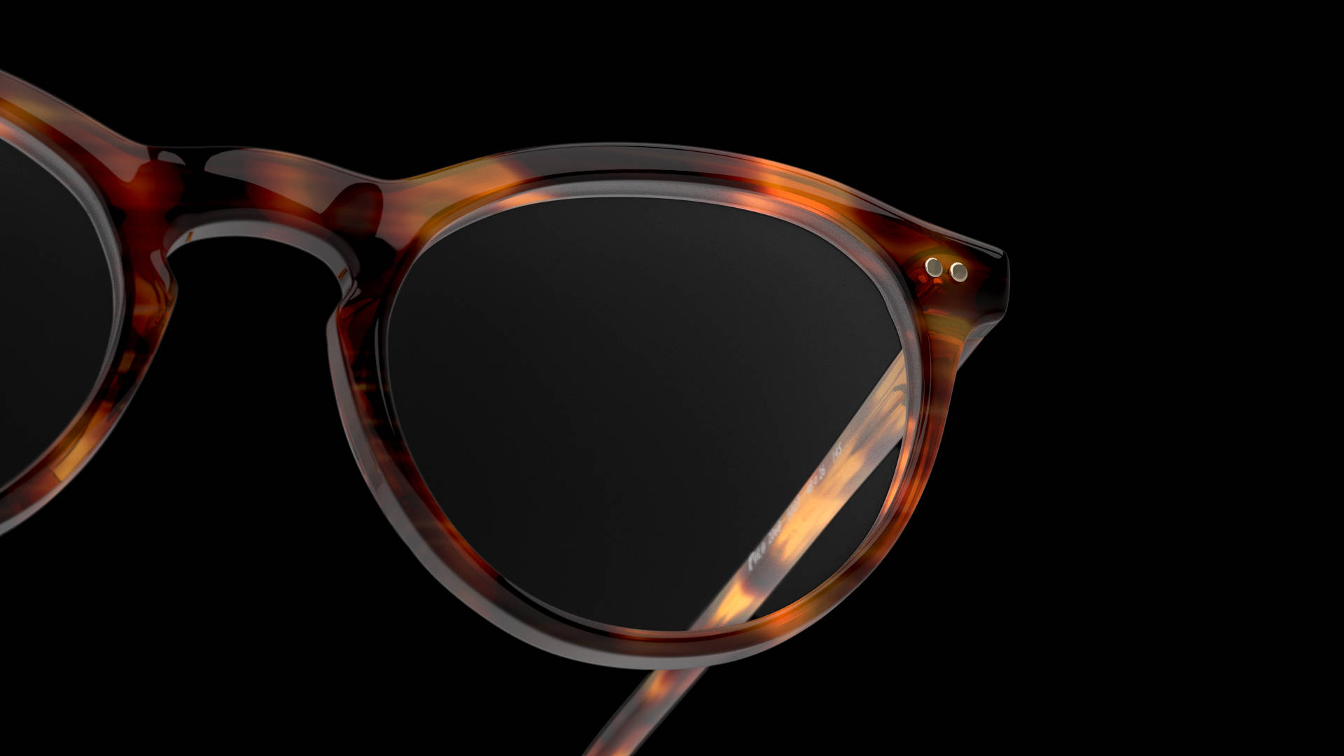 Polo eyeglass rims, tortoiseshell sunglasses, dark lenses, Full HD Desktop Wallpaper