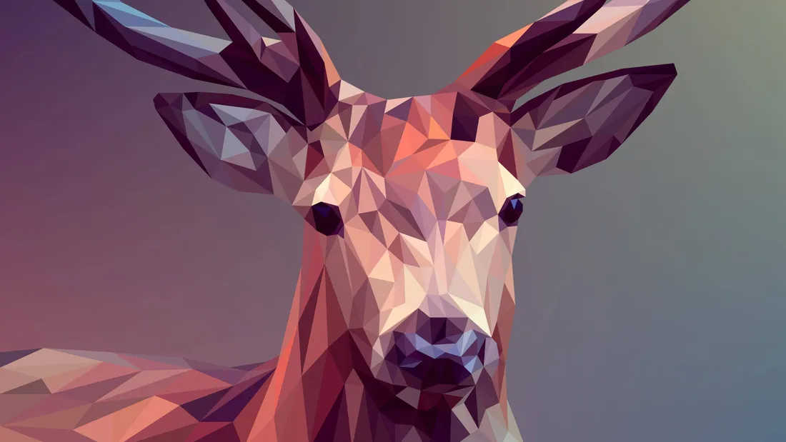 Polygon Art