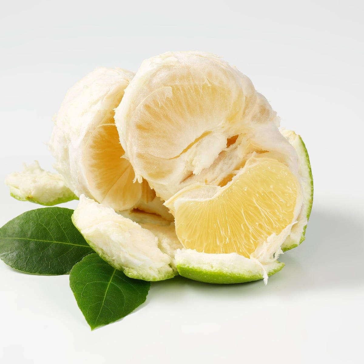 Pomelo, Fresh Green, juicy segments, SD Desktop Wallpaper
