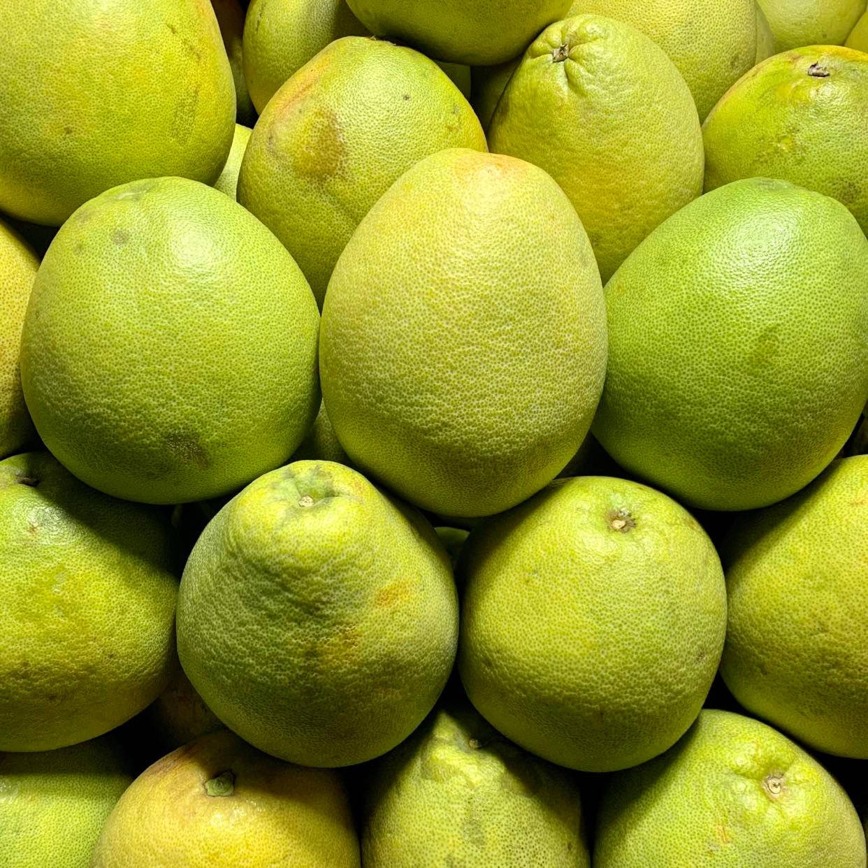 Pomelo, green, textured rinds, SD Desktop Wallpaper