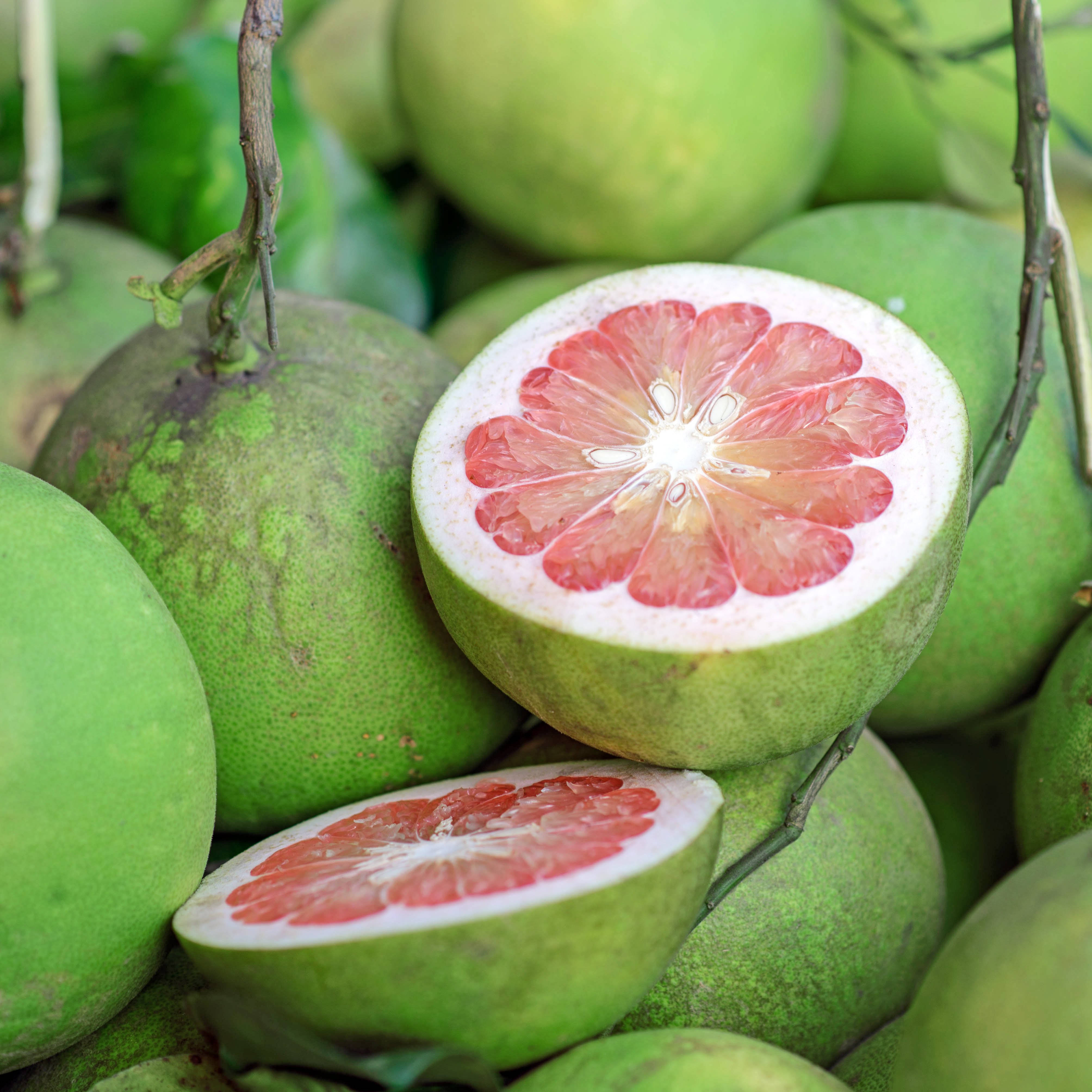 Pomelo, thick green, pink grapefruit, 4K Desktop Wallpaper