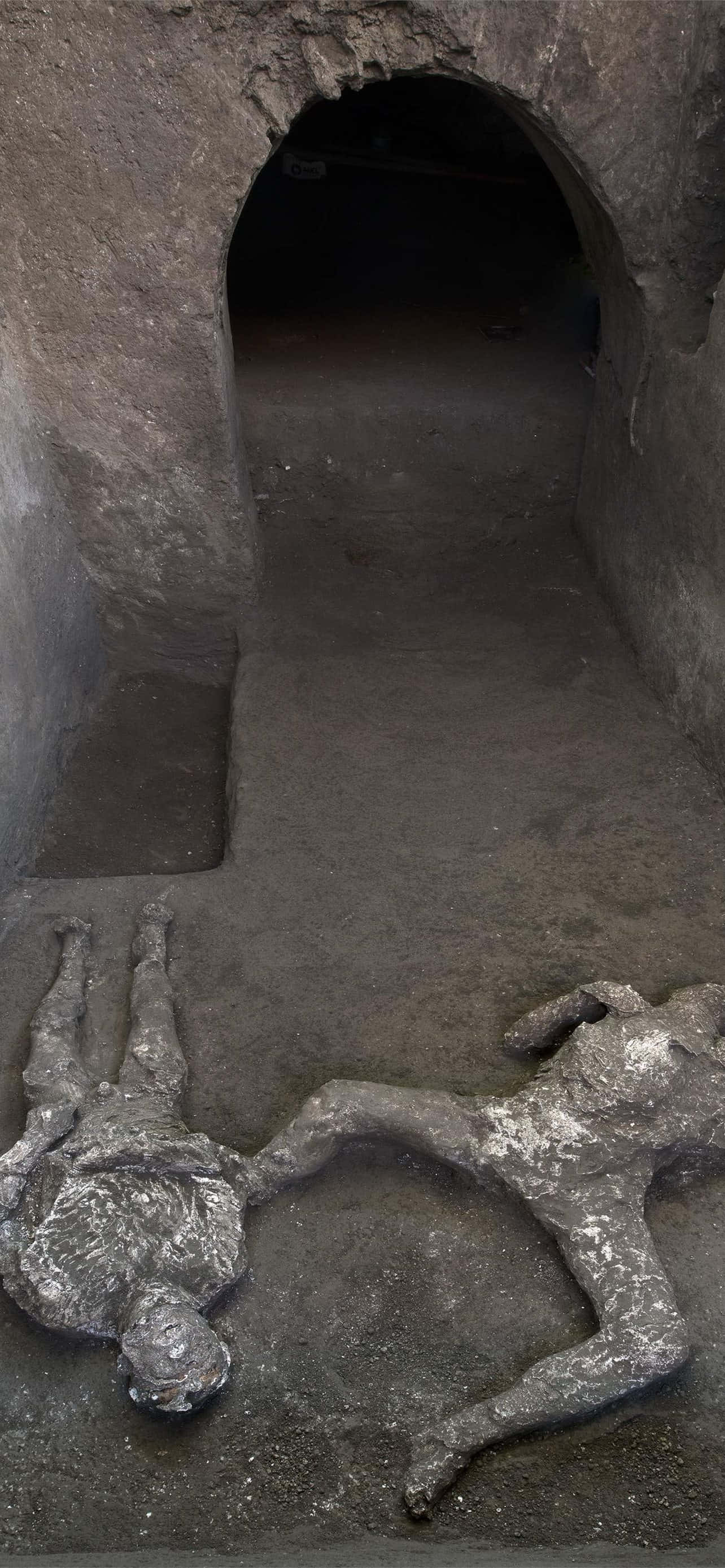 unearthed human bodies, Pompeii, volcanic ash, 2K Phone Wallpaper