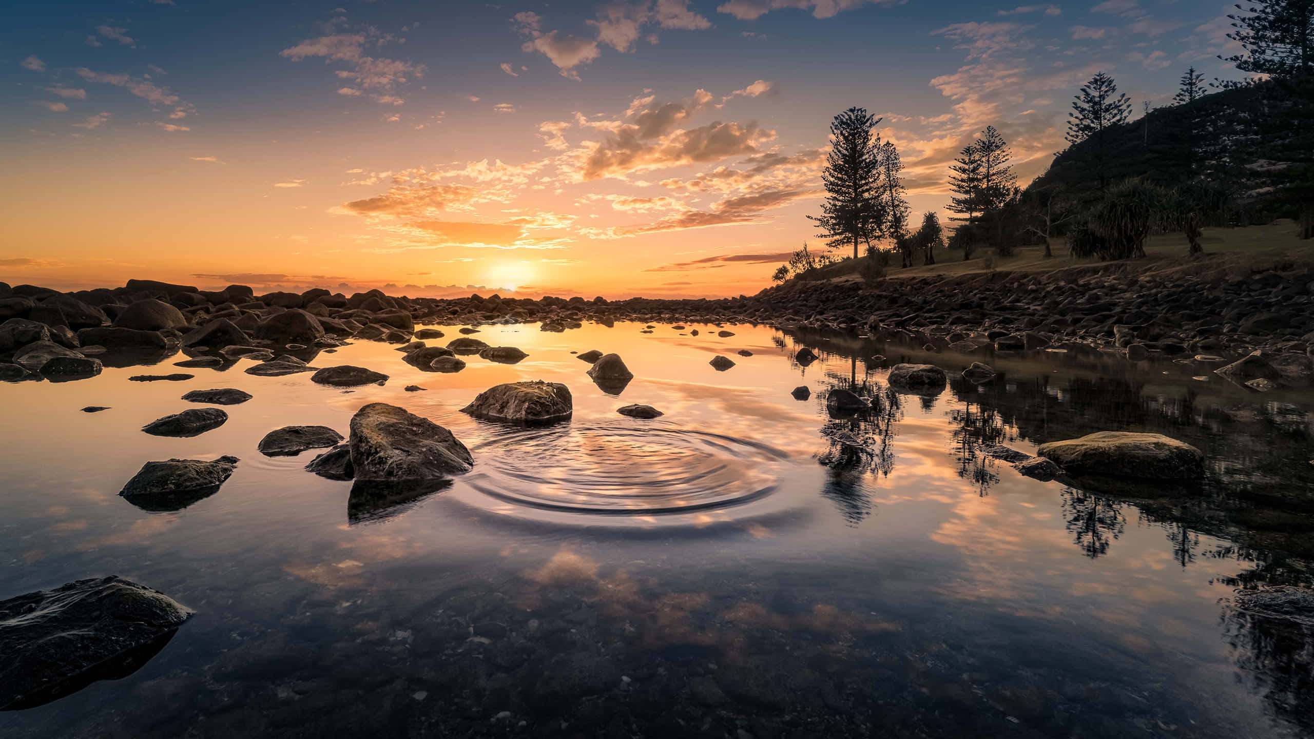 Sunset, pond, calm water, 2K Desktop Wallpaper