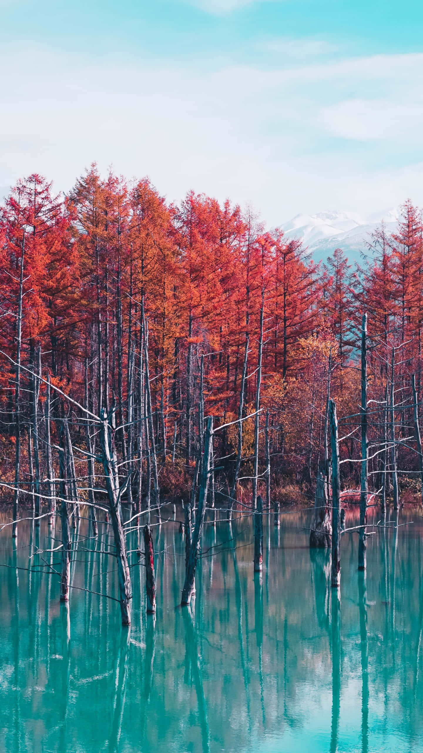 mysterious pond, vibrant red trees, turquoise water, 2K Phone Wallpaper