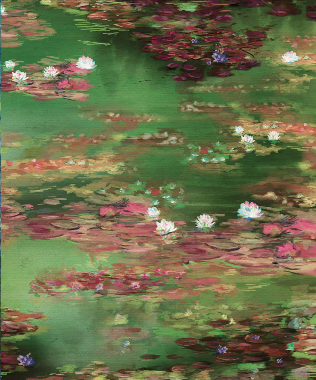 water lilies, green pond, pink and white blooms, HD Phone Wallpaper