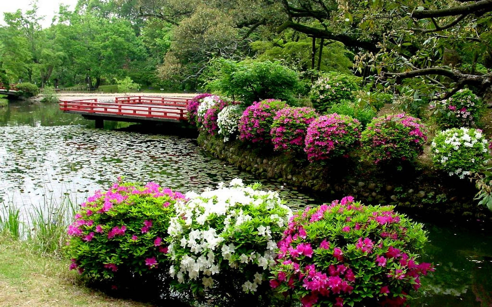 Japanese Style Flower Garden, pond, stone embankment, Full HD Desktop Wallpaper