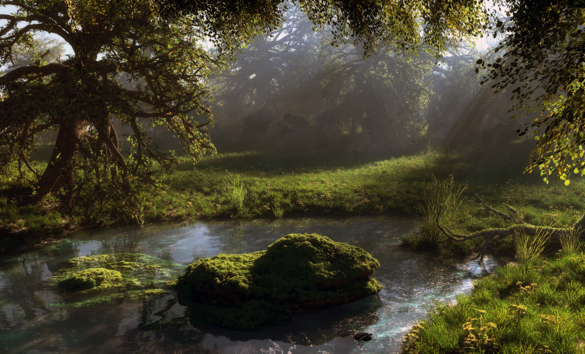 ancient trees, golden beams, mossy riverbank, HD Desktop Wallpaper