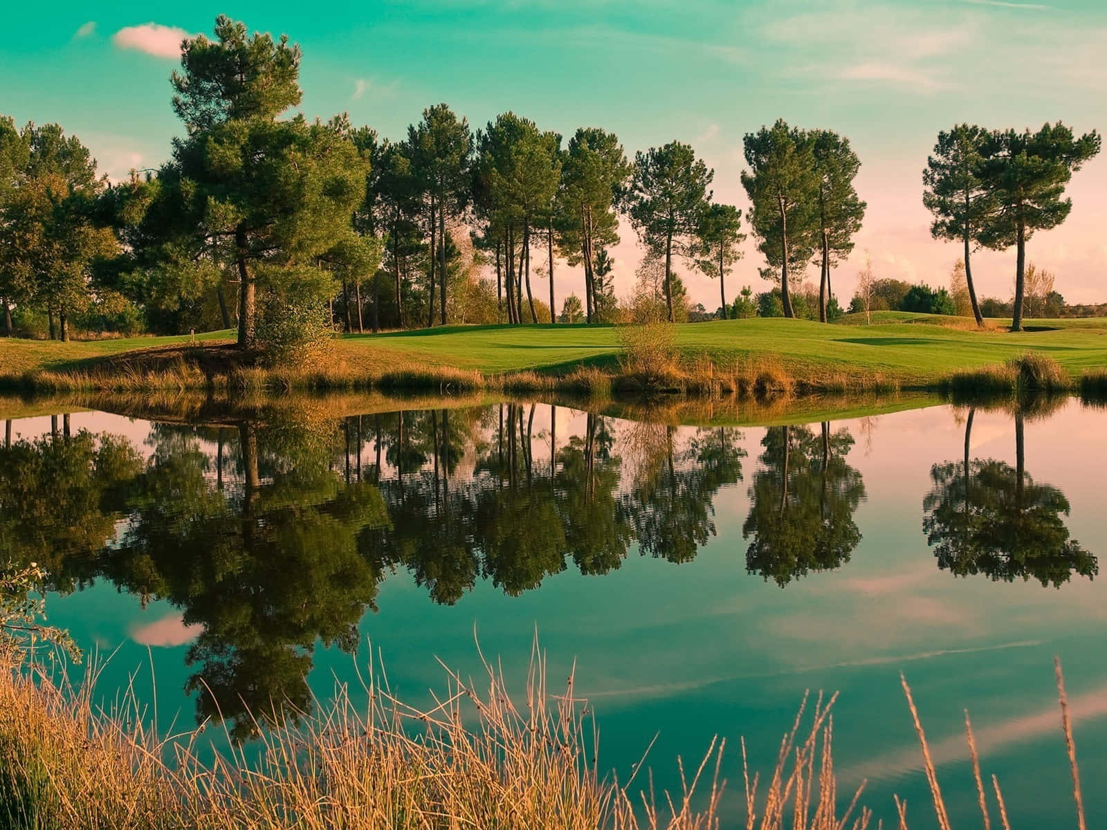 scenic pond view, golf course pond, tall pine trees, HD Desktop Wallpaper