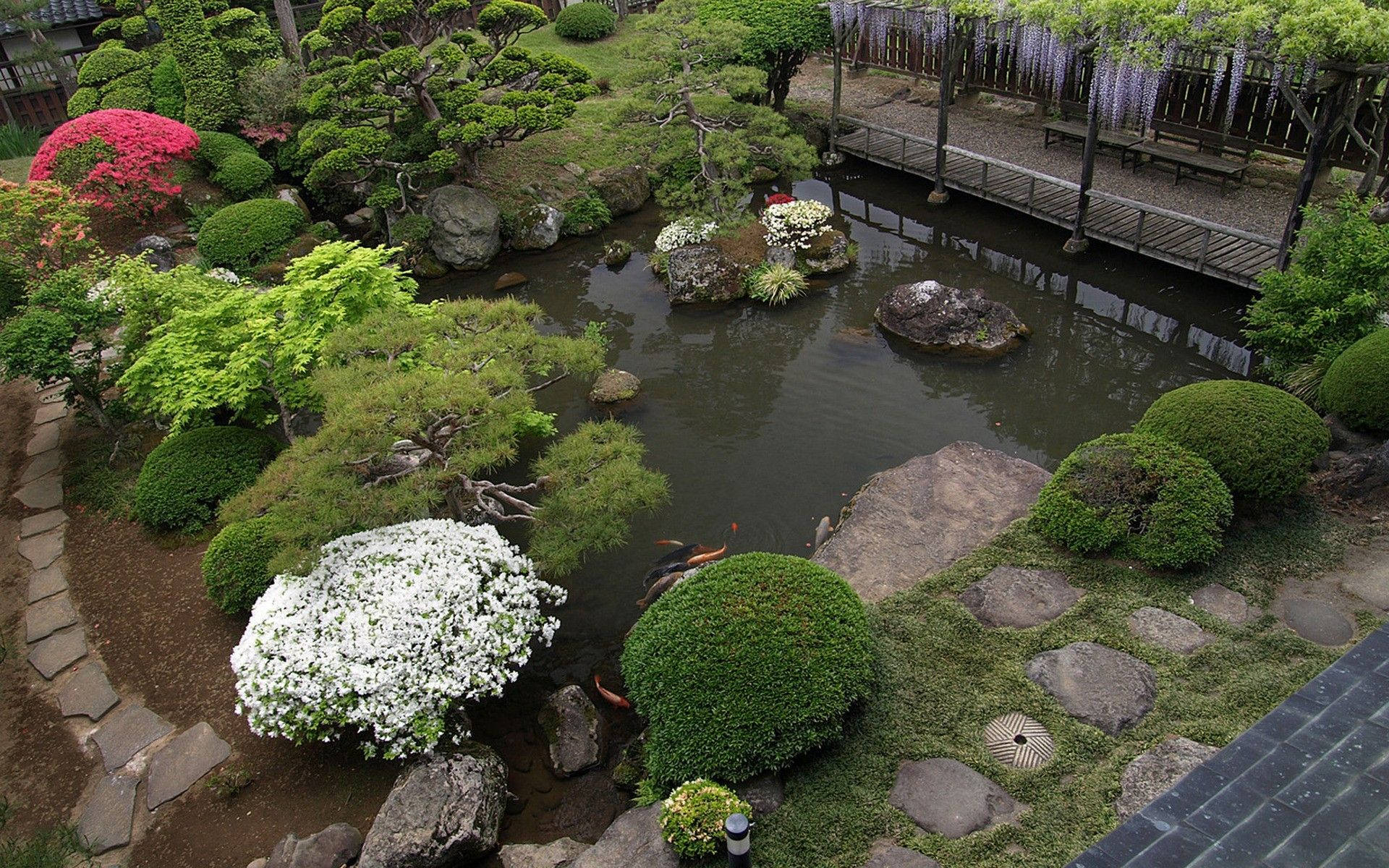 Japanese garden pond, koi fish, rocks, Full HD Desktop Wallpaper