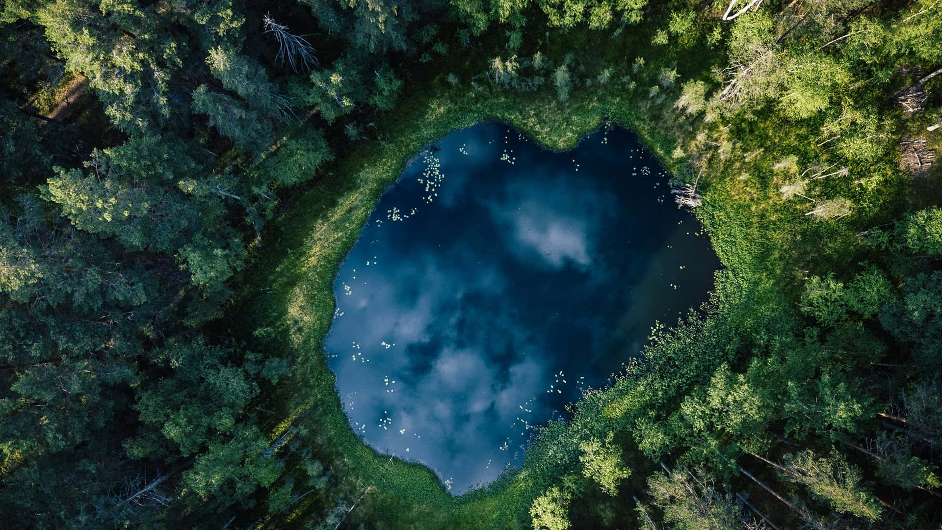 Pond, heart-shaped forest lake, dense green trees, Full HD Desktop Wallpaper