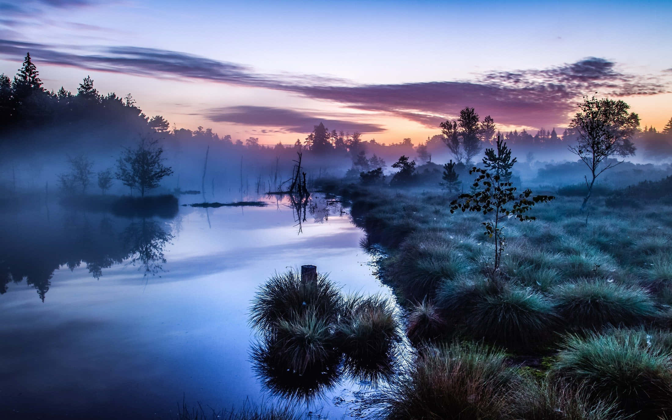 Pond, twilight, swamp, Full HD Desktop Wallpaper