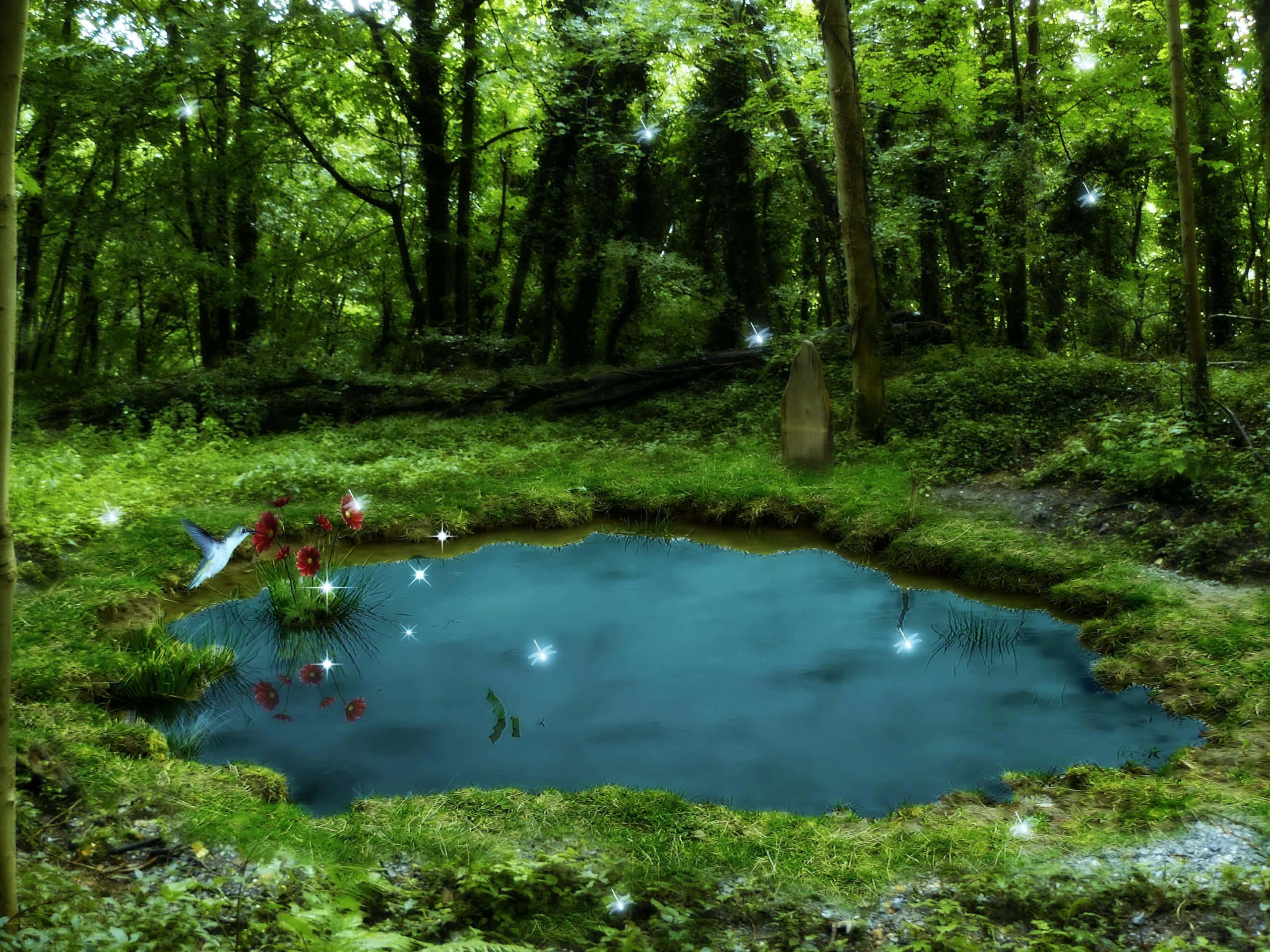 mysterious pond, forest pond, glowing fairy lights, 2K Desktop Wallpaper