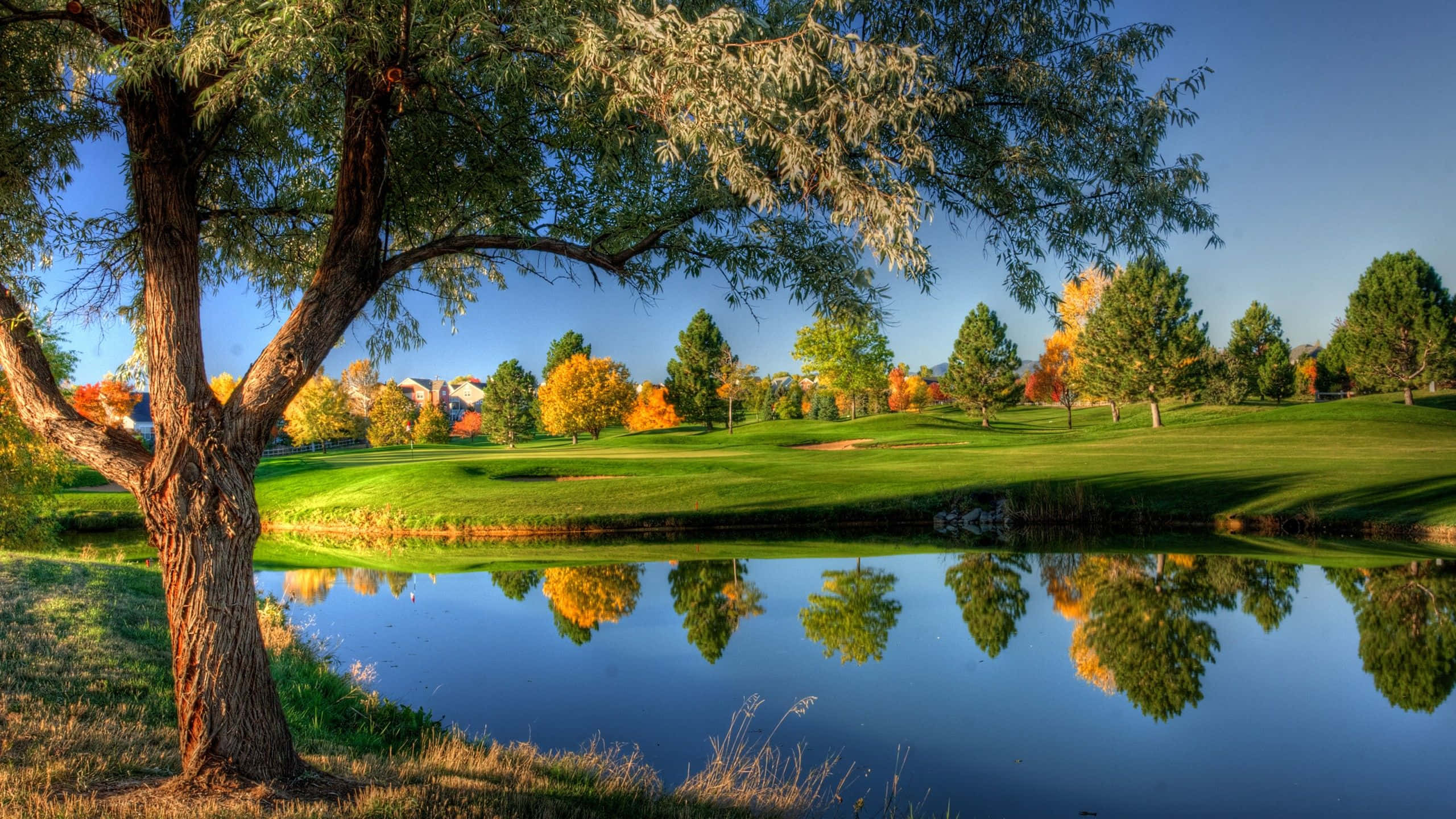 countryside pond, autumn golf course, vibrant trees, 2K Desktop Wallpaper
