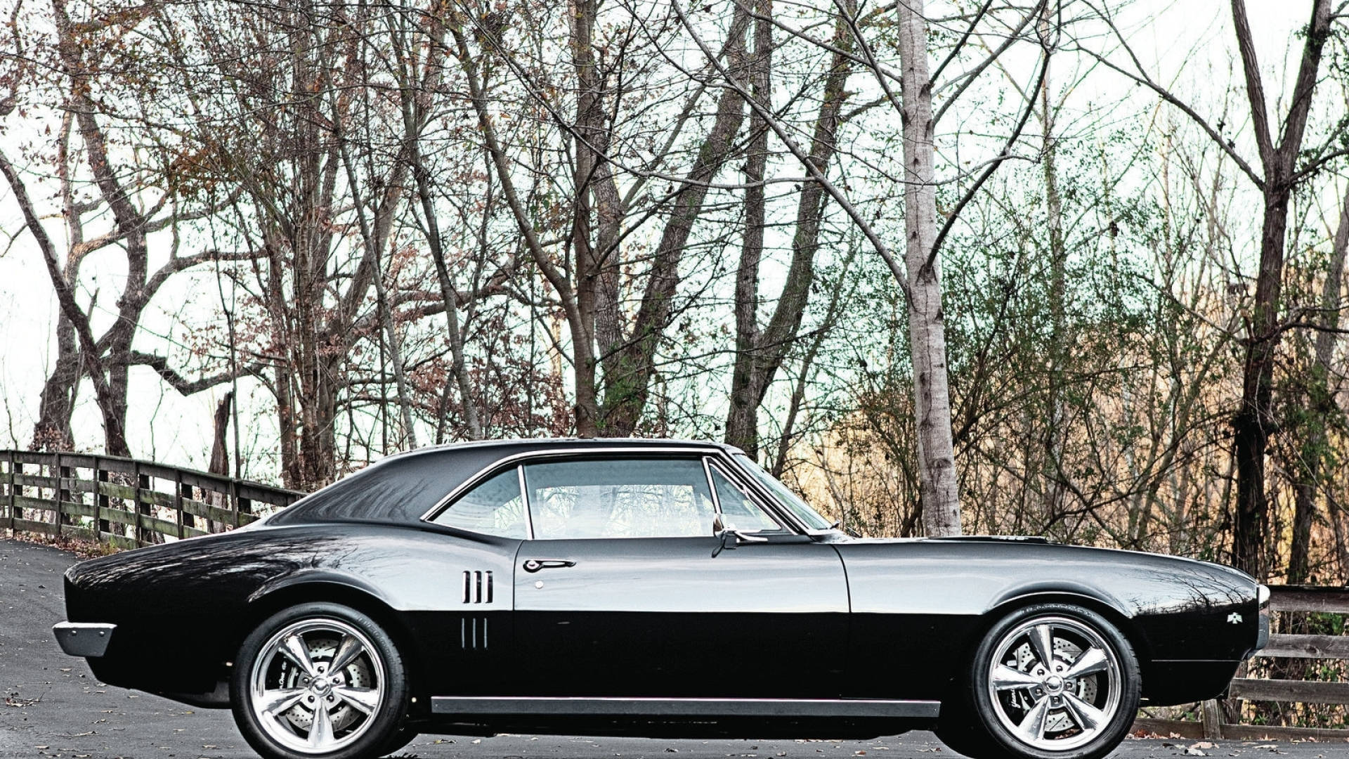 1968, black, Pontiac Firebird, Full HD Desktop Wallpaper
